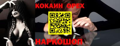 кокс Кингисепп