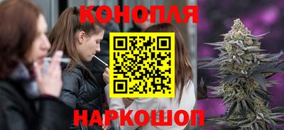 кокс Кингисепп