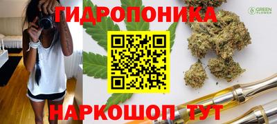 кокс Кингисепп