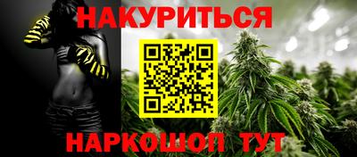 кокс Кингисепп